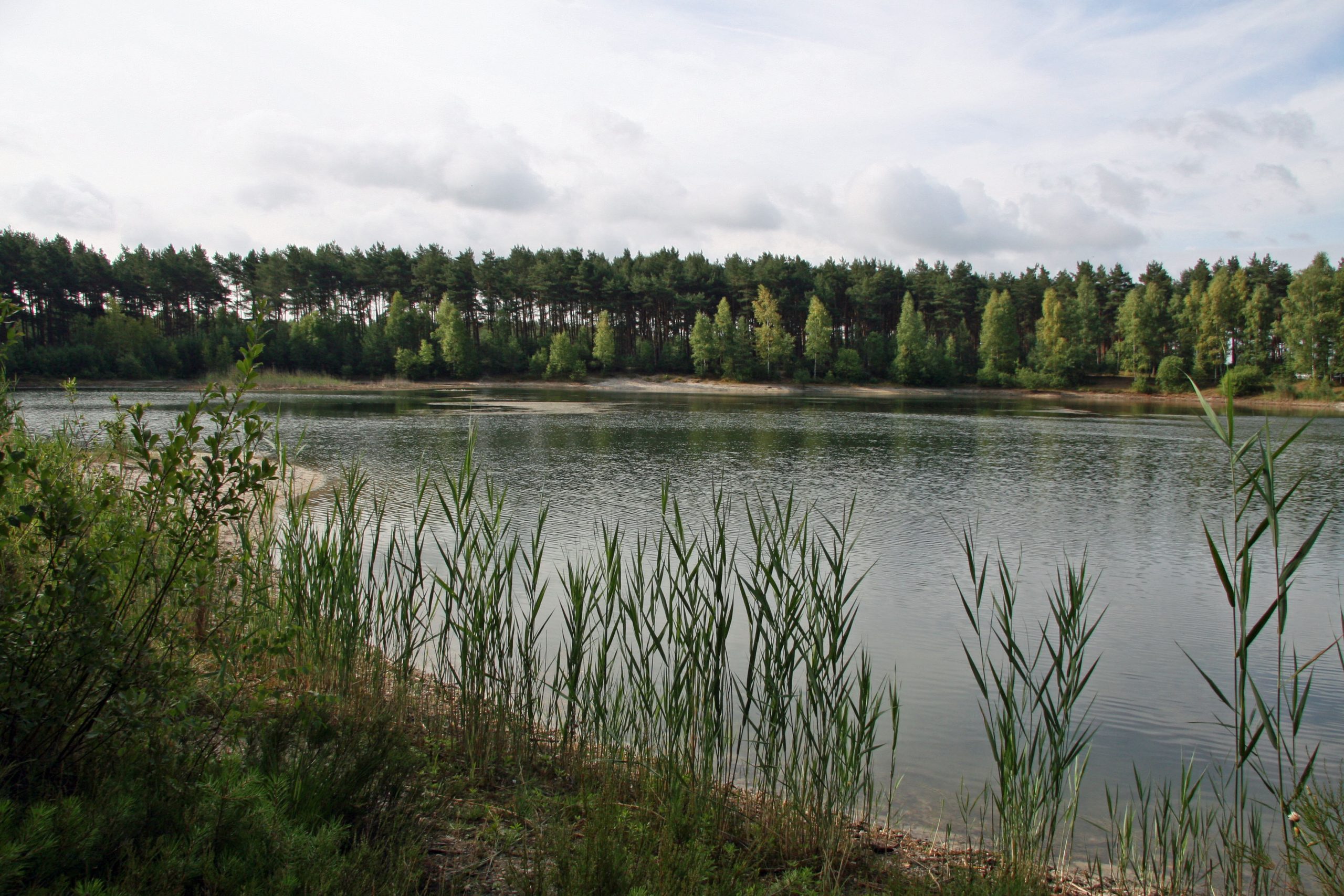 Besondere Fänge ANV Wesendorf
